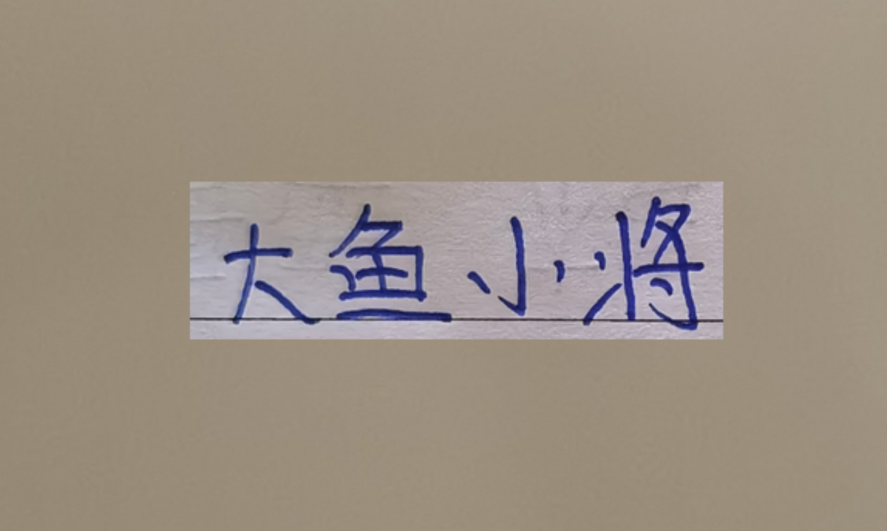 世界杯手机观看-超级杯海港新大鱼 带球和突破不亚于巴尔加斯!